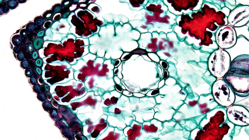 Life Science Catalogue