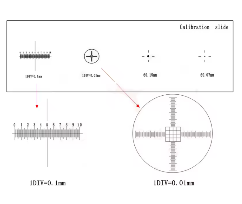 Microscope Stage Micrometer Slide, 0.01 mm Calibration Ruler with Cross Dot Pattern