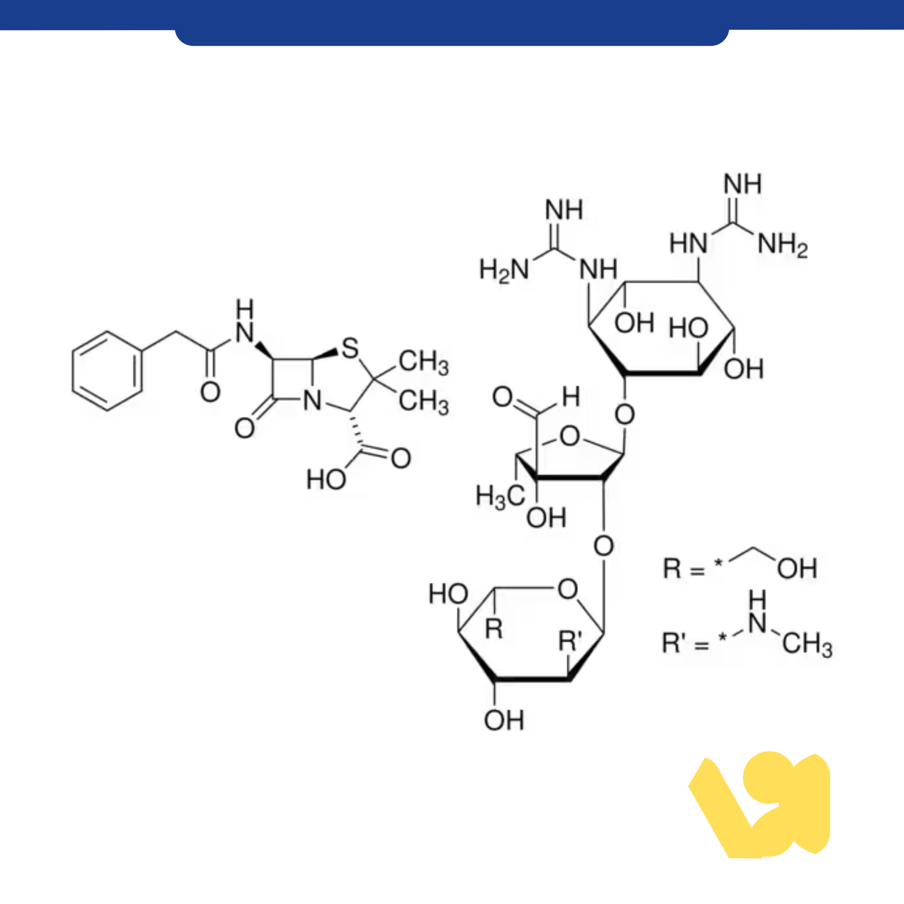 Penicillin-Streptomycin, Pen-Strep Solution